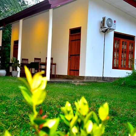 Little Ele Safari Lodge Udawalawe Kültér fotó